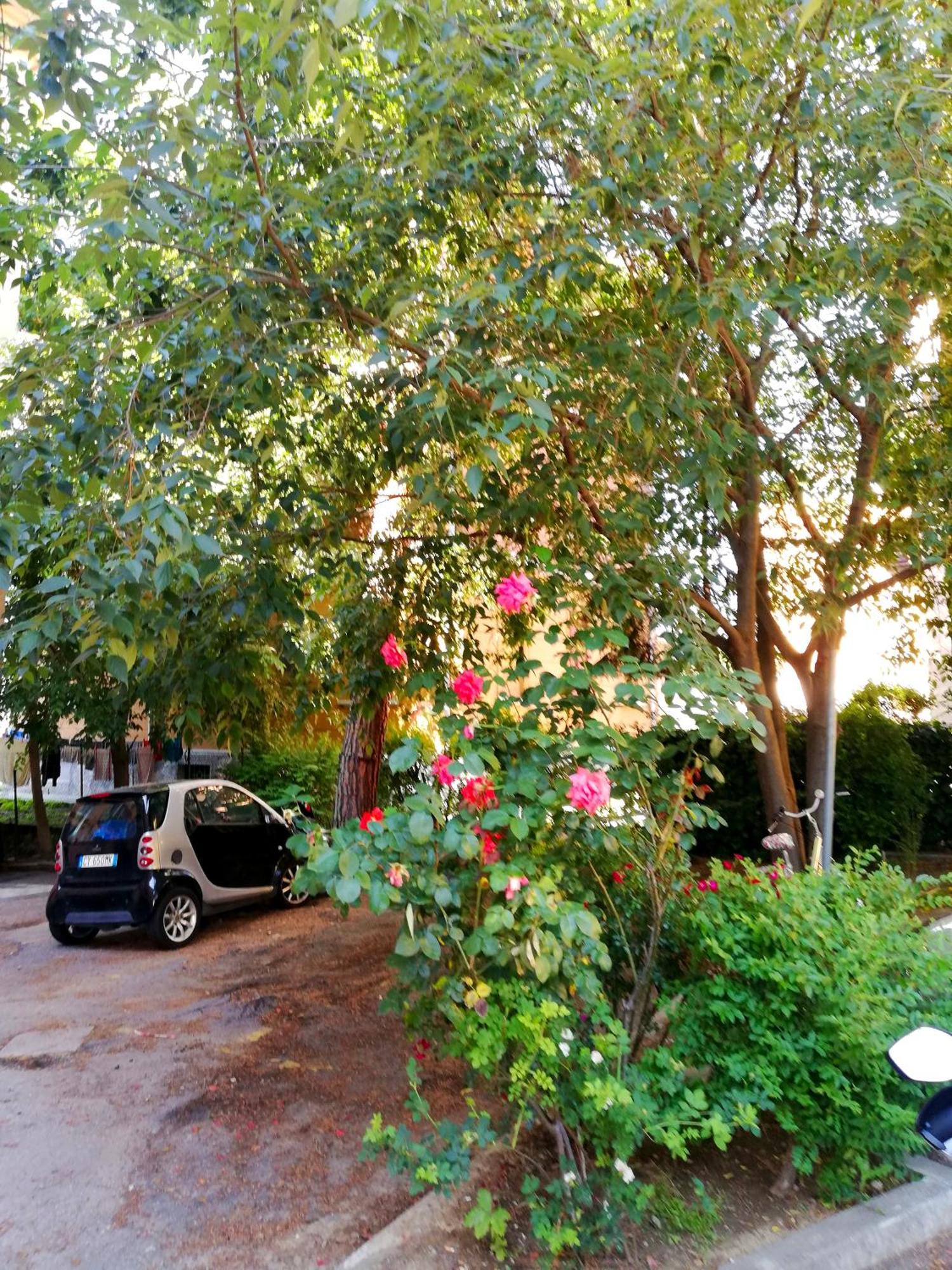 Tupertu Sant'Orsola - Centro Διαμέρισμα Μπολόνια Εξωτερικό φωτογραφία